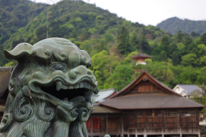 良縁夫婦旅７（朝の厳島神社、宮島）_a0251116_13234878.jpg