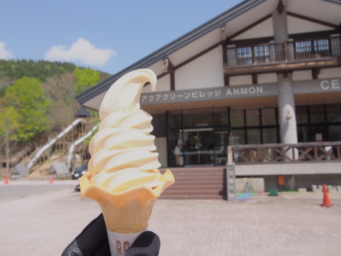 ブナ林散策道のイワウチワ(西目屋村)*2017.05.07_b0147224_21111838.jpg