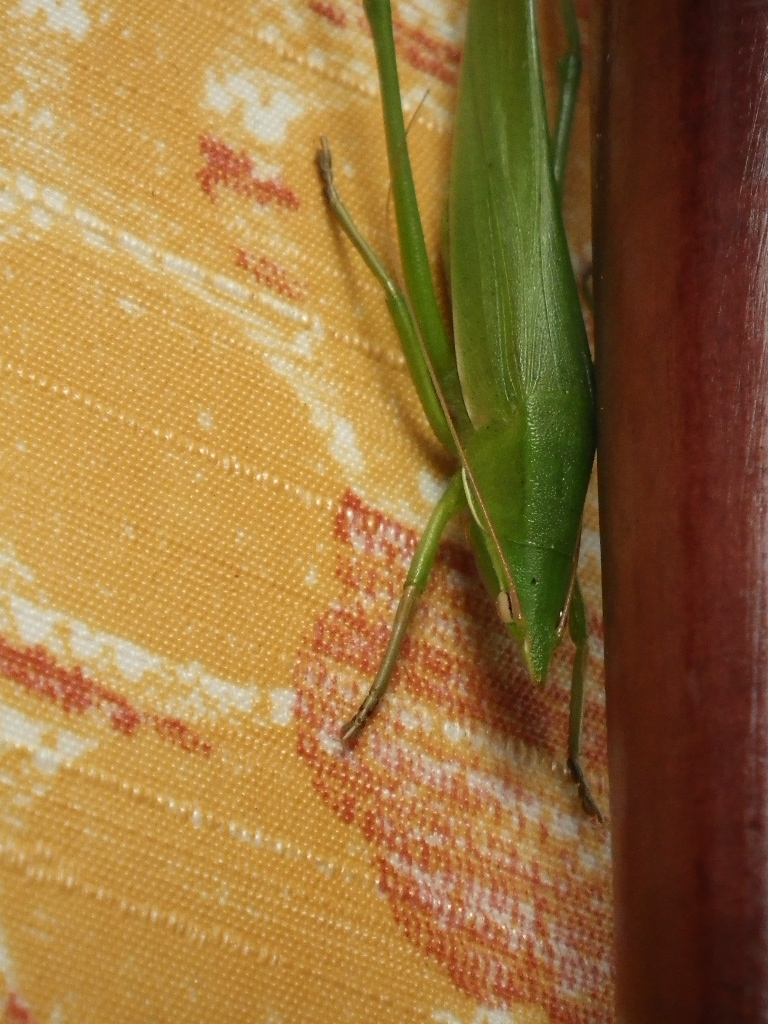 c0189724_16482686.jpg