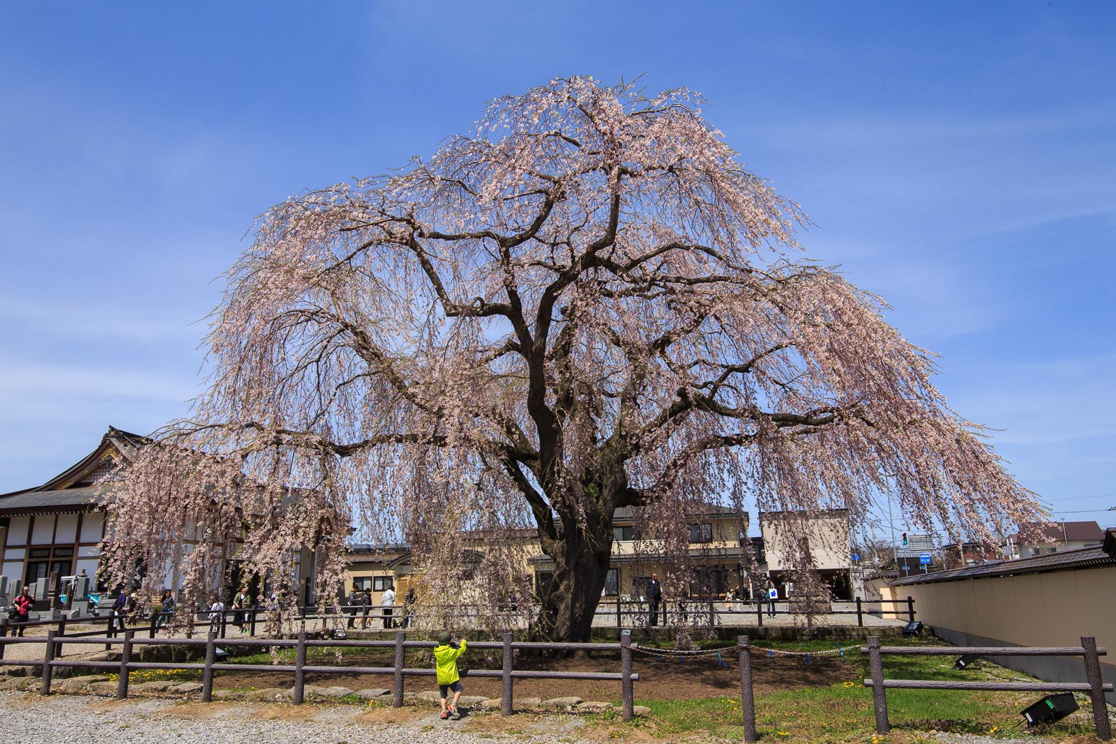 b0243727_83918.jpg