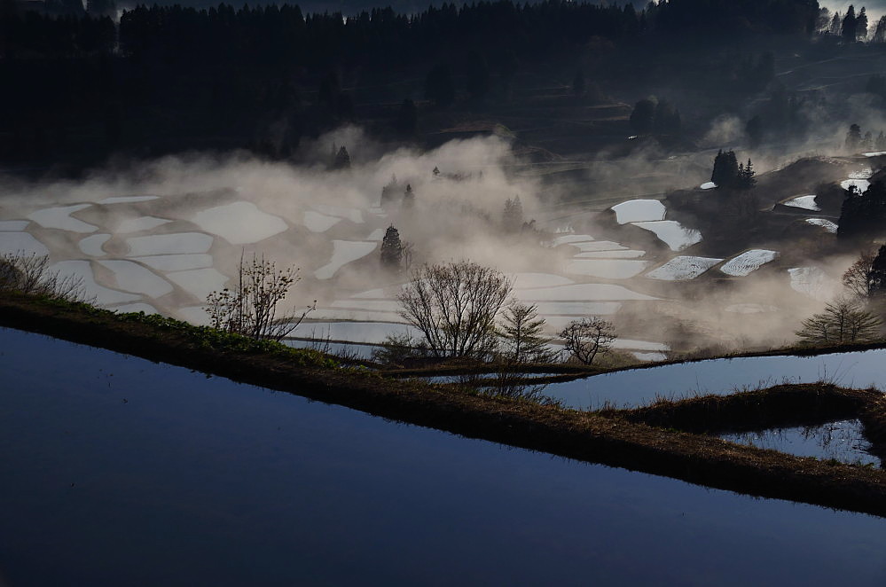 棚田の朝霧_a0287533_23265917.jpg