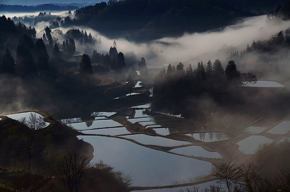 棚田の朝霧_a0287533_23283594.jpg