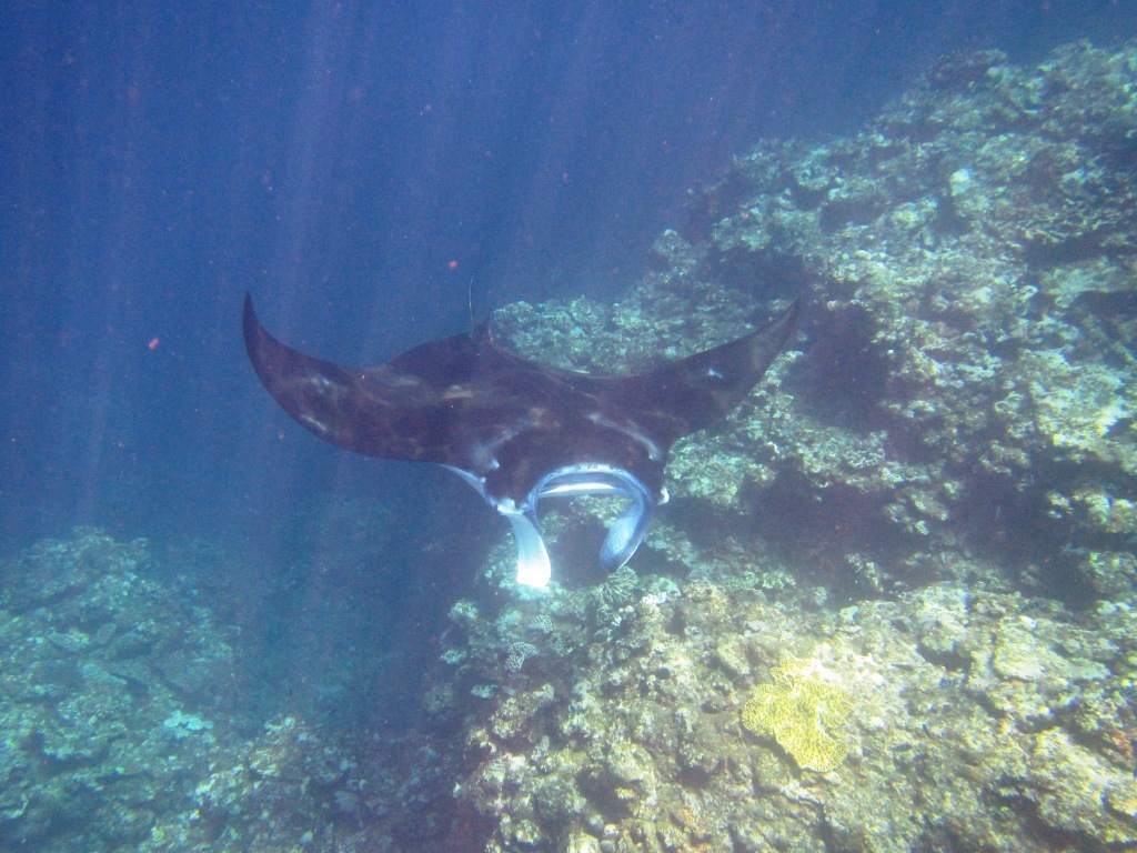 a0189838_18463926.jpg