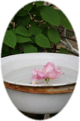 f0225639_20341775.jpg