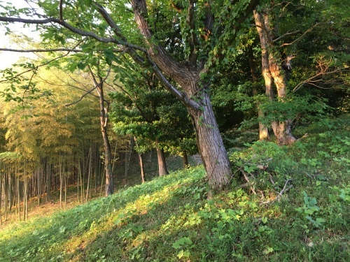 b0330040_01365050.jpg