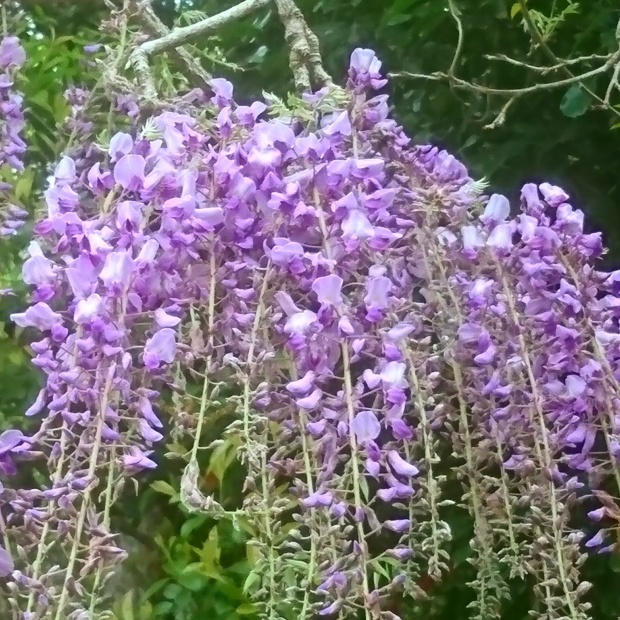 e0145441_02114213.jpg