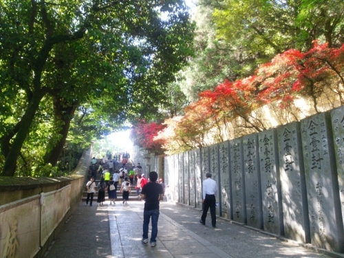 f0347942_06475579.jpg