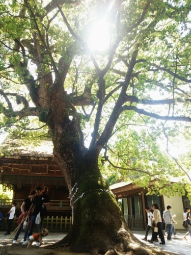f0347942_06485854.jpg