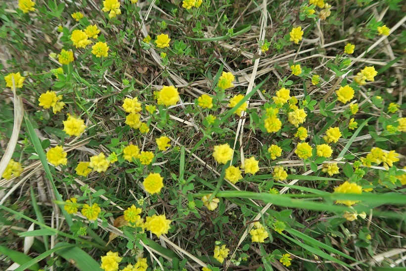 d0333943_08354290.jpg