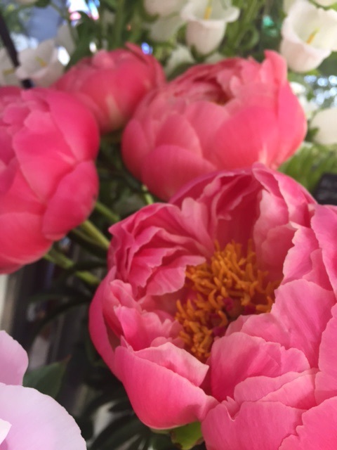 お花屋さん Gallery円山ステッチ 佐野明子のblog