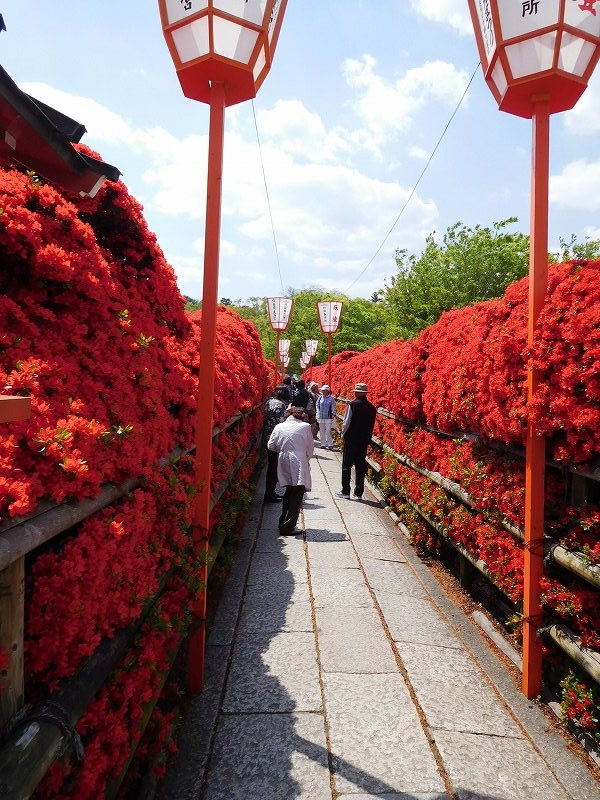 長岡天神の境内 京都府長岡京市 ヒストリカル シェア 京都中心の四季 歴史 祭