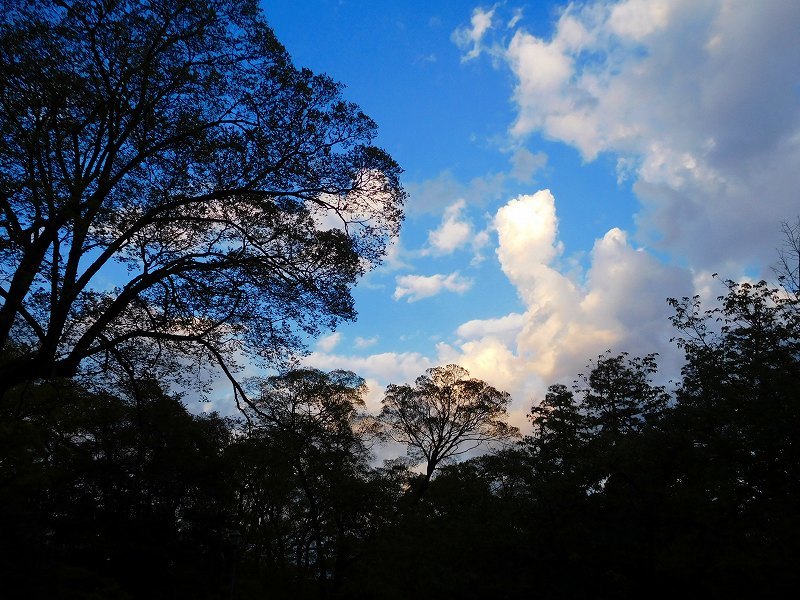 e0237645_17440742.jpg
