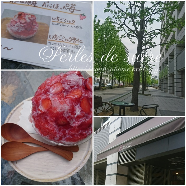 ご近所散歩_f0199750_15354124.jpg