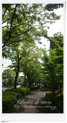 ご近所散歩_f0199750_15360875.jpg