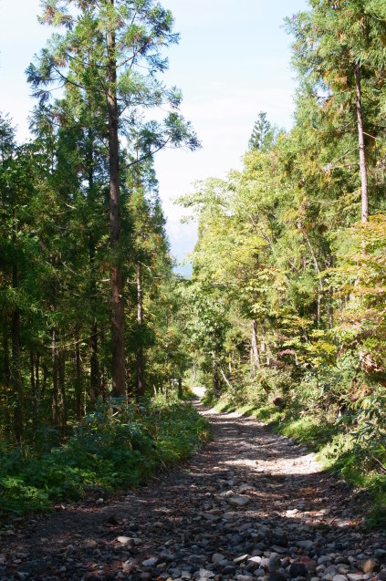 上州～上信越～尾瀬登山の旅　7　（武尊山） 　　_a0288155_18554378.jpg