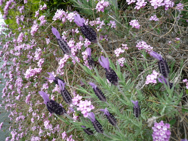 c0043055_10205682.jpg