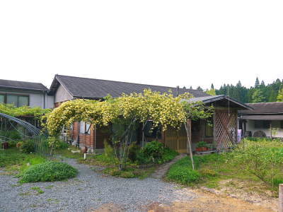 株式会社旬援隊 GWは大忙し‼畑仕事にダリアの定植、農家さんの現地取材などてんてこ舞いです!_a0254656_17511881.jpg