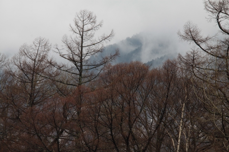 上高地は雨の中_a0355356_09333239.jpg