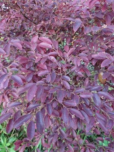 a0164657_23491497.jpg