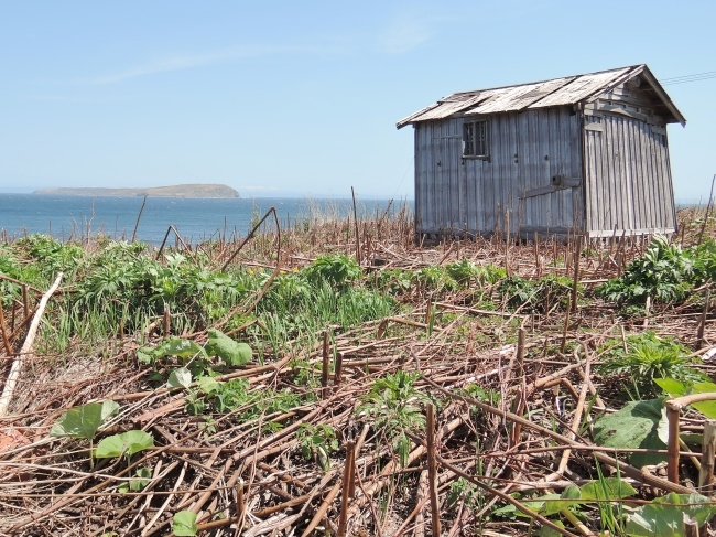 Teuri Island｜天売島_b0077368_11234180.jpg