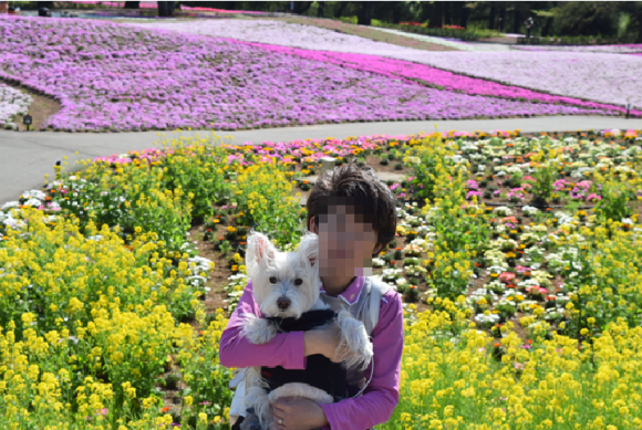 b0242873_00134078.png