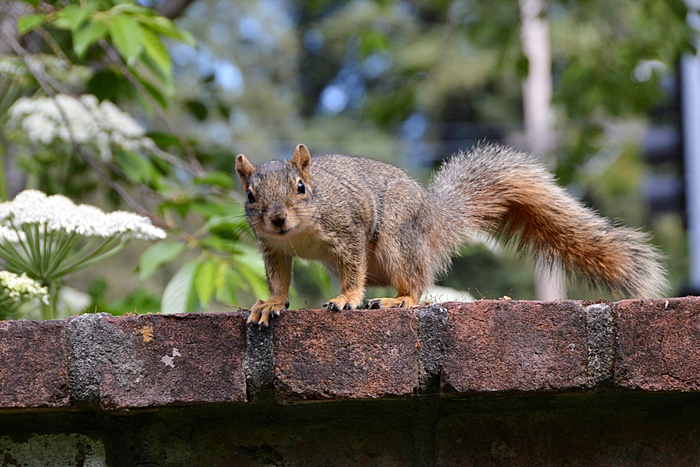 At the park - Ross_b0369375_6491622.jpg