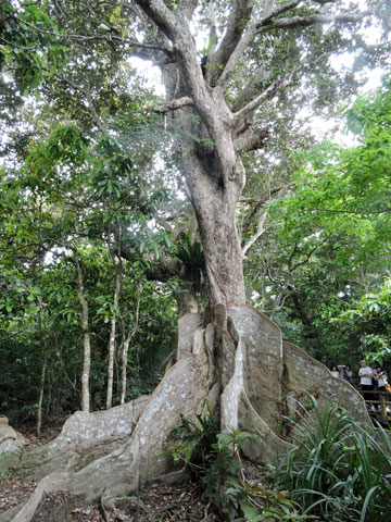 f0083977_22524272.jpg
