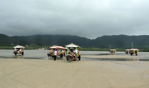 f0083977_22552546.jpg