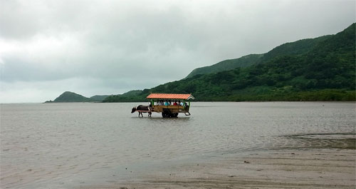 f0083977_22554427.jpg