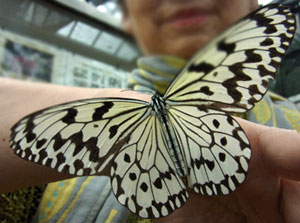 f0083977_22582938.jpg
