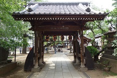 妙正寺川02-新井薬師_d0183387_16242190.jpg