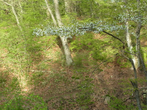 e0008887_09202562.jpg