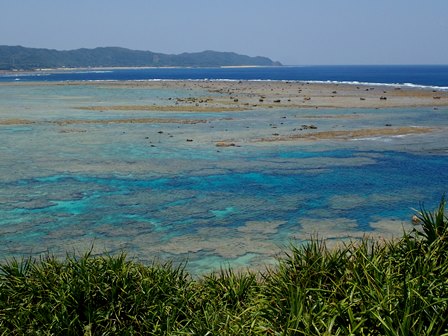c0018489_12453625.jpg
