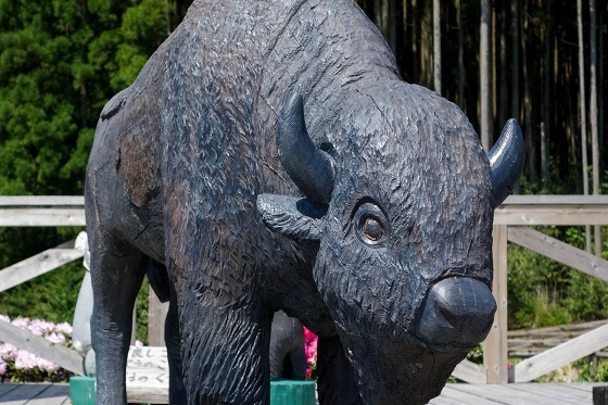 木彫りの動物園①　～チェーンソーアート～_e0176993_06192543.jpg