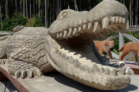 木彫りの動物園①　～チェーンソーアート～_e0176993_06192563.jpg