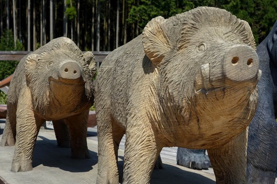 木彫りの動物園①　～チェーンソーアート～_e0176993_06210047.jpg