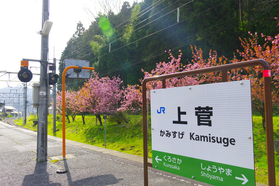 日野町上菅／花の駅_e0341897_14455355.jpg