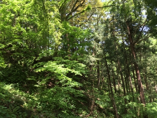 a0310702_20415685.jpeg