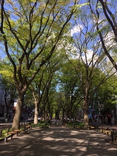 命萌え出す時_a0335202_16332859.jpg