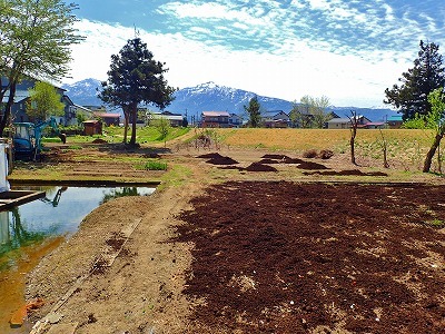 c0336902_20042400.jpg