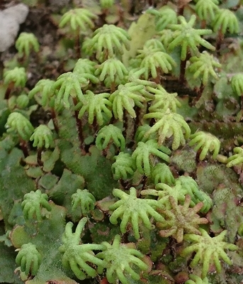 e0289203_10454975.jpg