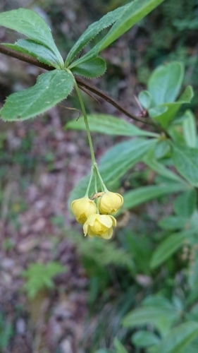 e0351303_22040164.jpg
