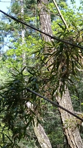 e0351303_22103092.jpg