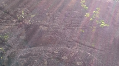 e0351303_22590567.jpg