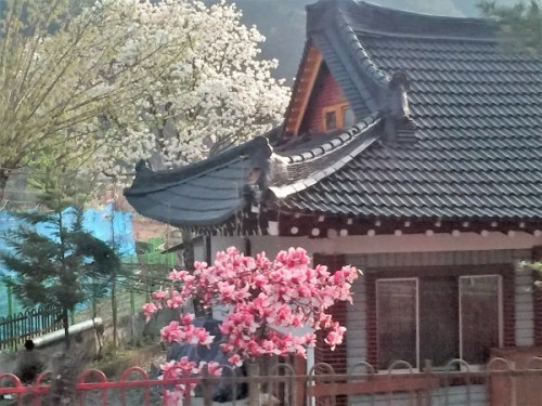 韓国お寺巡りの旅　⑪秘境にあるお寺　百潭寺（ペクタムサ）へ_a0140305_02514320.jpg