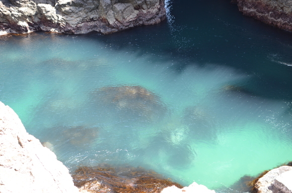 c0336907_19562000.jpg
