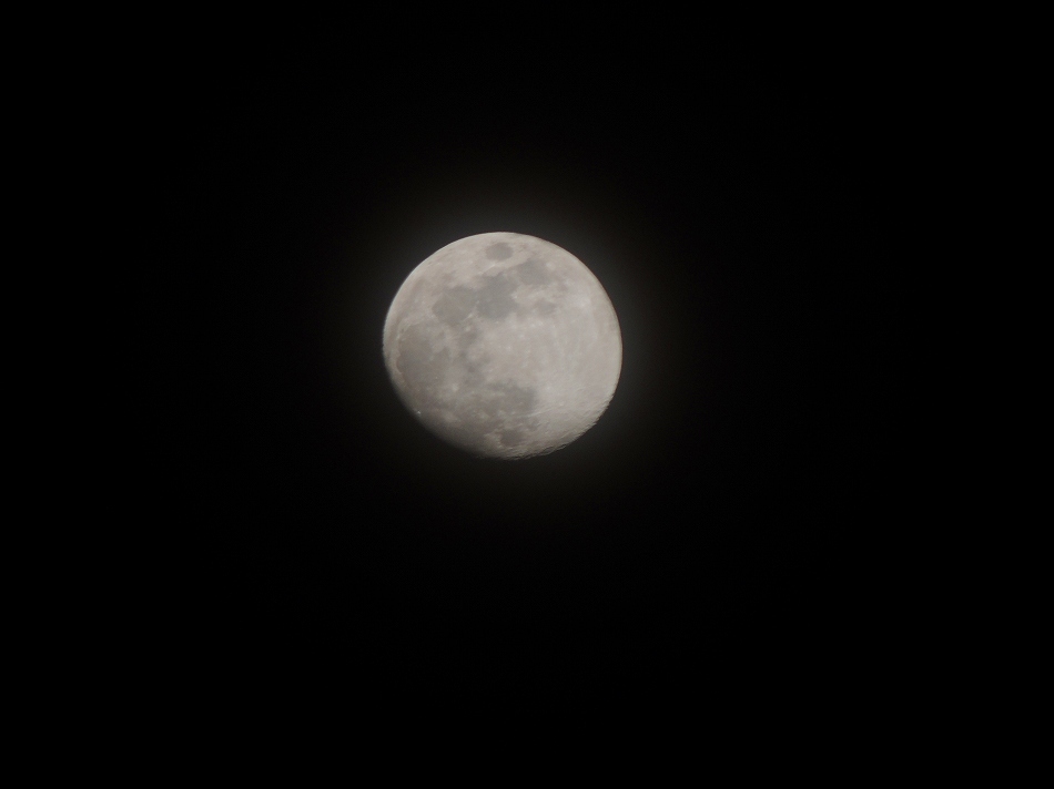 e0372207_23004832.jpg