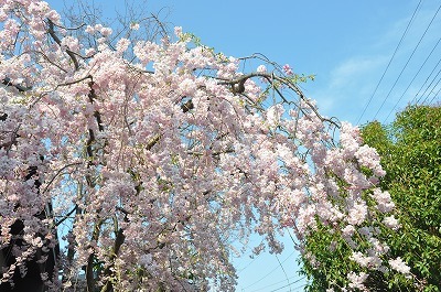 b0143308_22061919.jpg