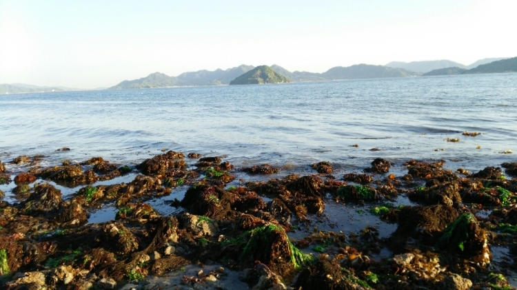 c0016208_09384607.jpg