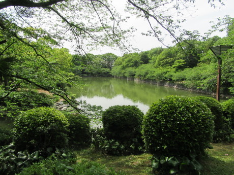 新居浜市広瀬公園も新緑で薫風…2017/5/7_f0231709_14224027.jpg